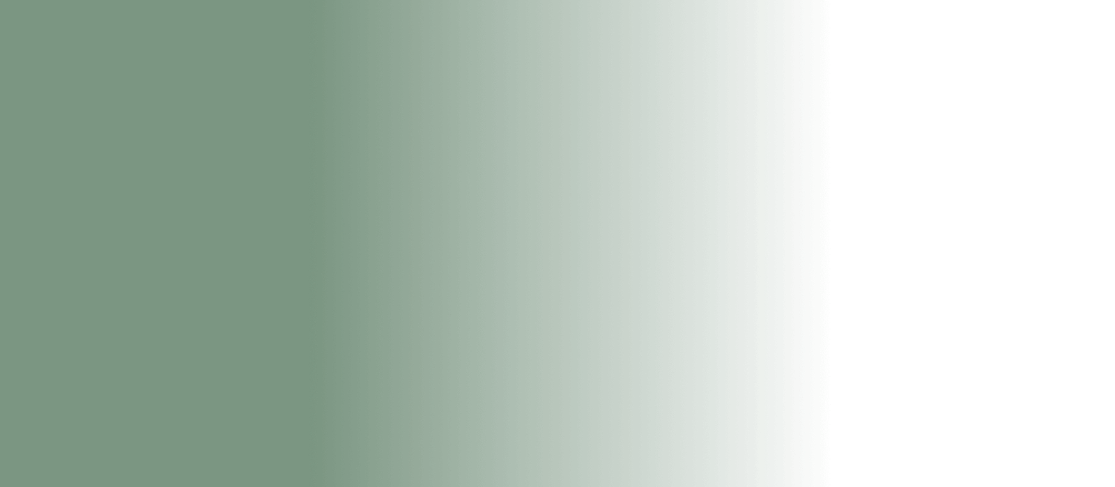 Intro